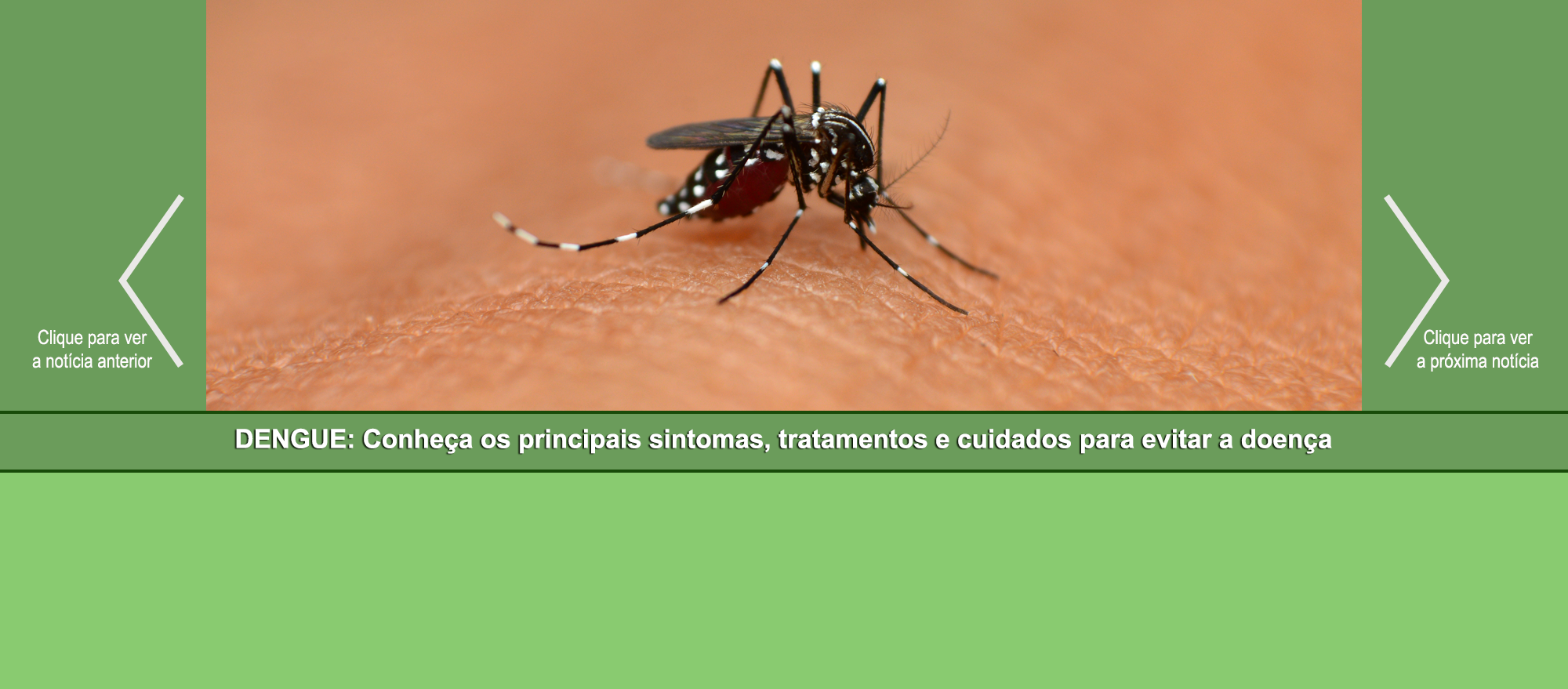 SLIDER – Dengue